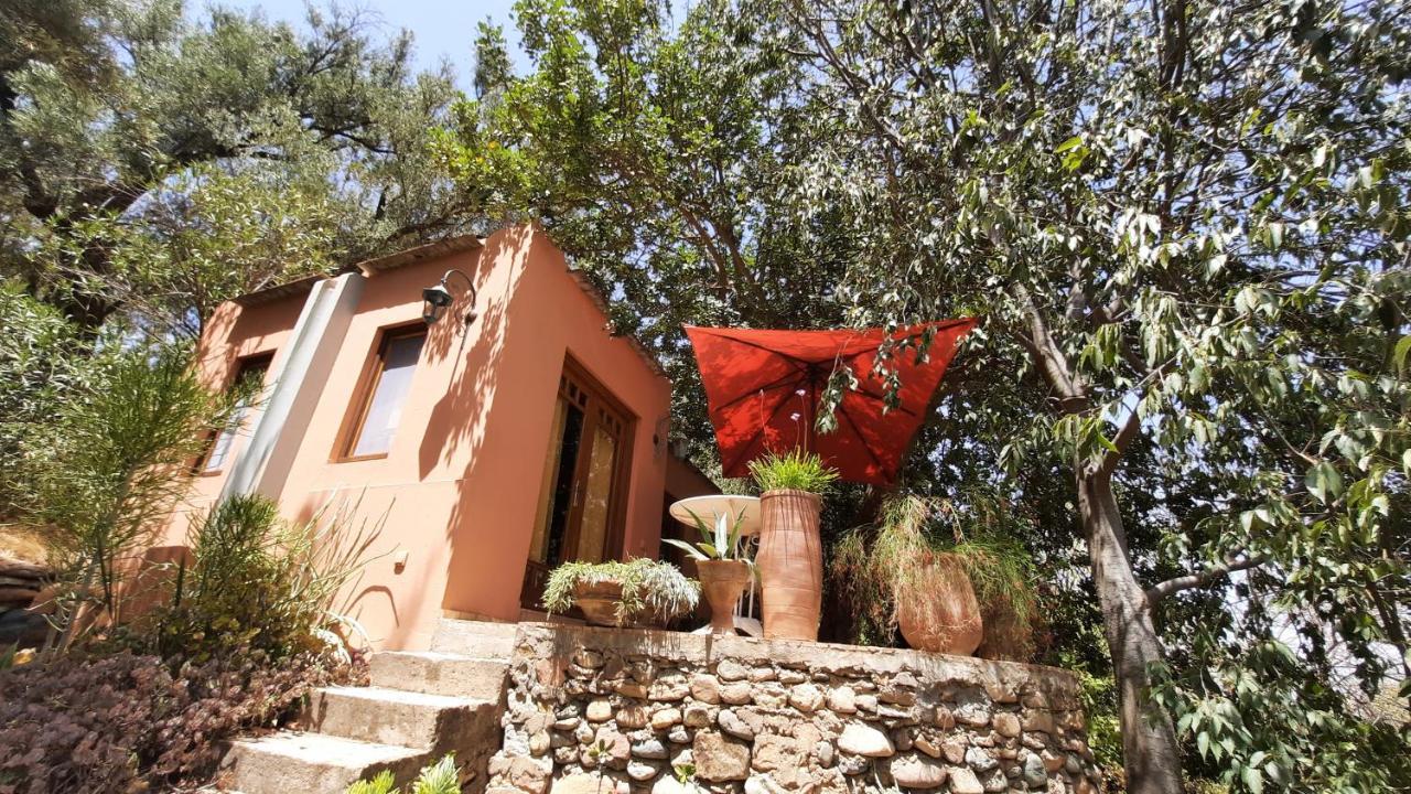 Maroc Lodge Atlas Mountain Retreat Amizmiz Екстериор снимка